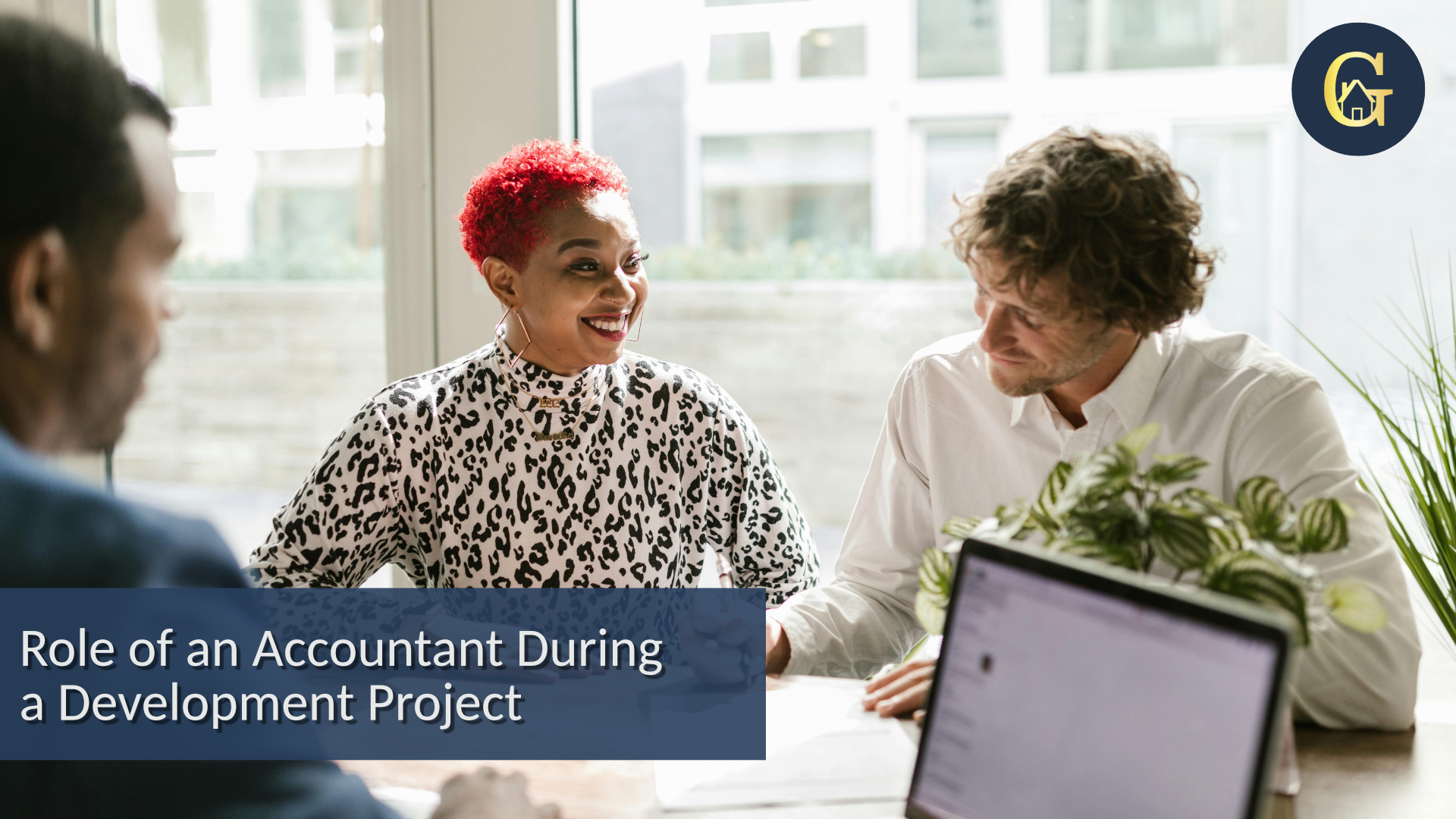 Development Accounting What's The Role of an Accountant During a Development Project ...
